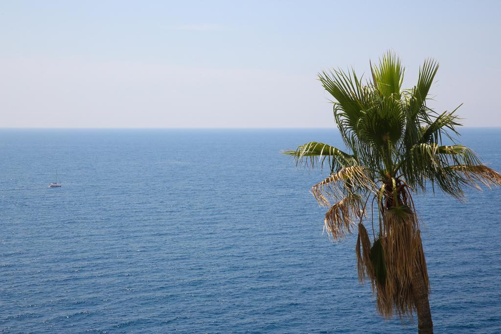White & Co Villa And Apartments Dubrovnik Rum bild