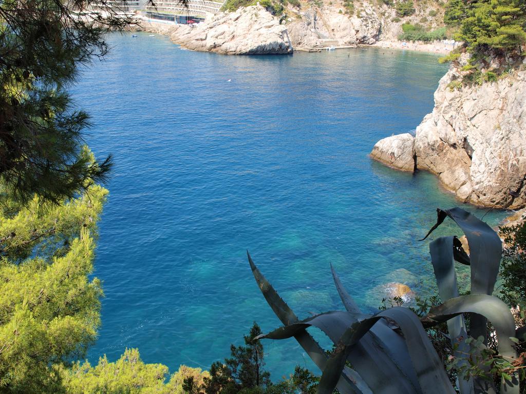 White & Co Villa And Apartments Dubrovnik Rum bild
